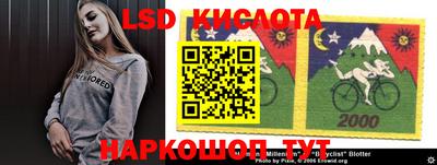 гашик Кимры