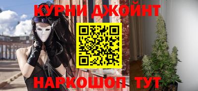 гидра Кинель