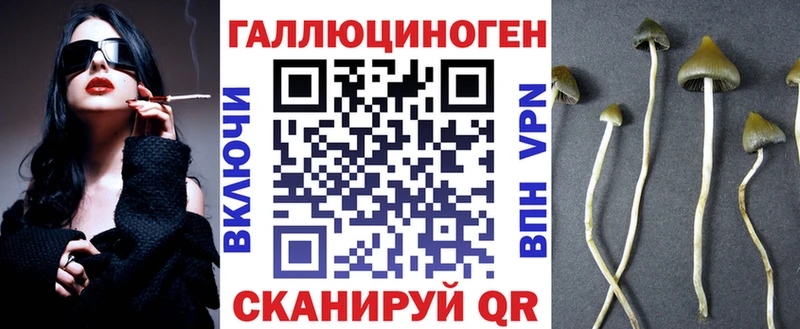 Псилоцибиновые грибы Cubensis  Томск 