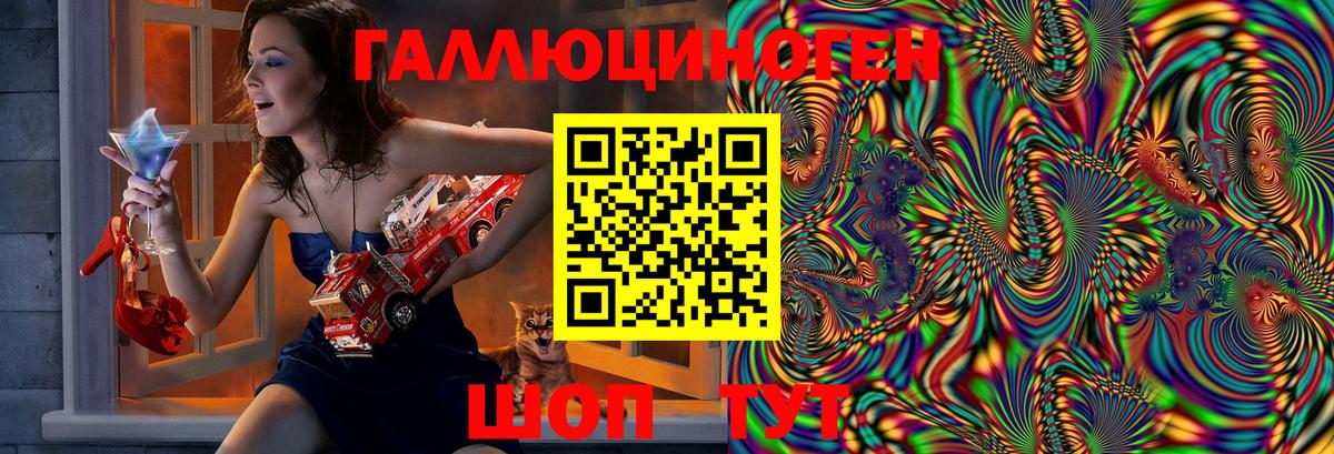 Псилоцибиновые грибы мухоморы Томск