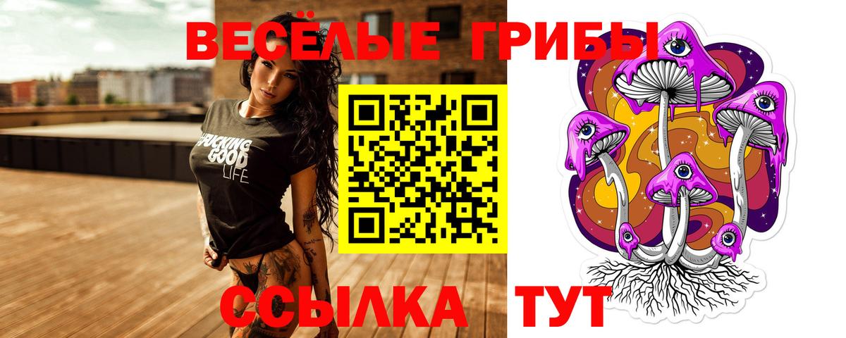 Галлюциногенные грибы ЛСД Томск