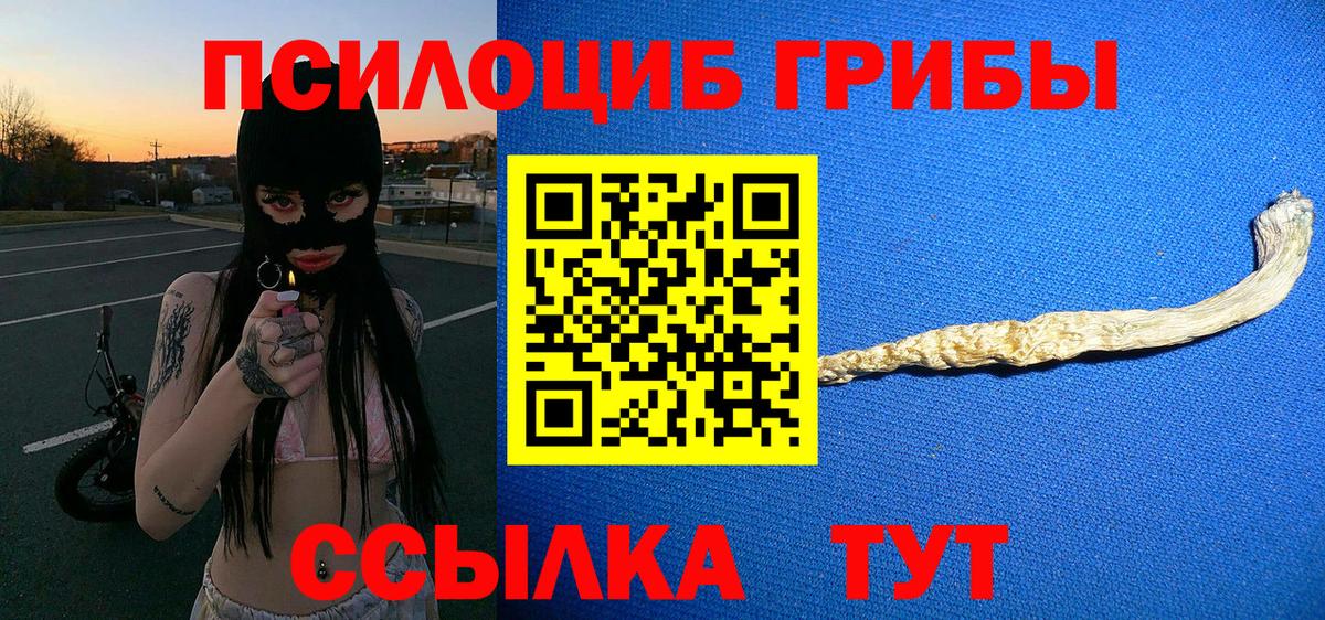 Галлюциногенные грибы Psilocybe  Псилоцибиновые грибы прущие грибы  Томск 