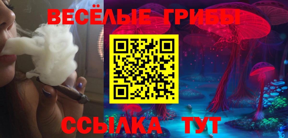 Томск  Псилоцибиновые грибы Cubensis  закладка  Вход с VPN 